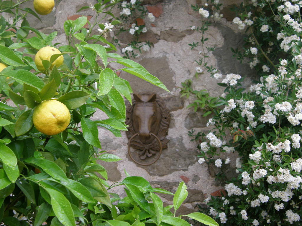 Villa Centro Ippico Della Berardenga Castelnuovo Berardenga Exterior foto